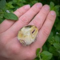 IMG_5043.JPG