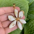 IMG_7017.JPG