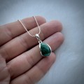 IMG_1320.jpg